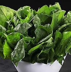 ほうれん草