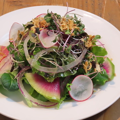 【SNACK[単品]】モーニングサラダ