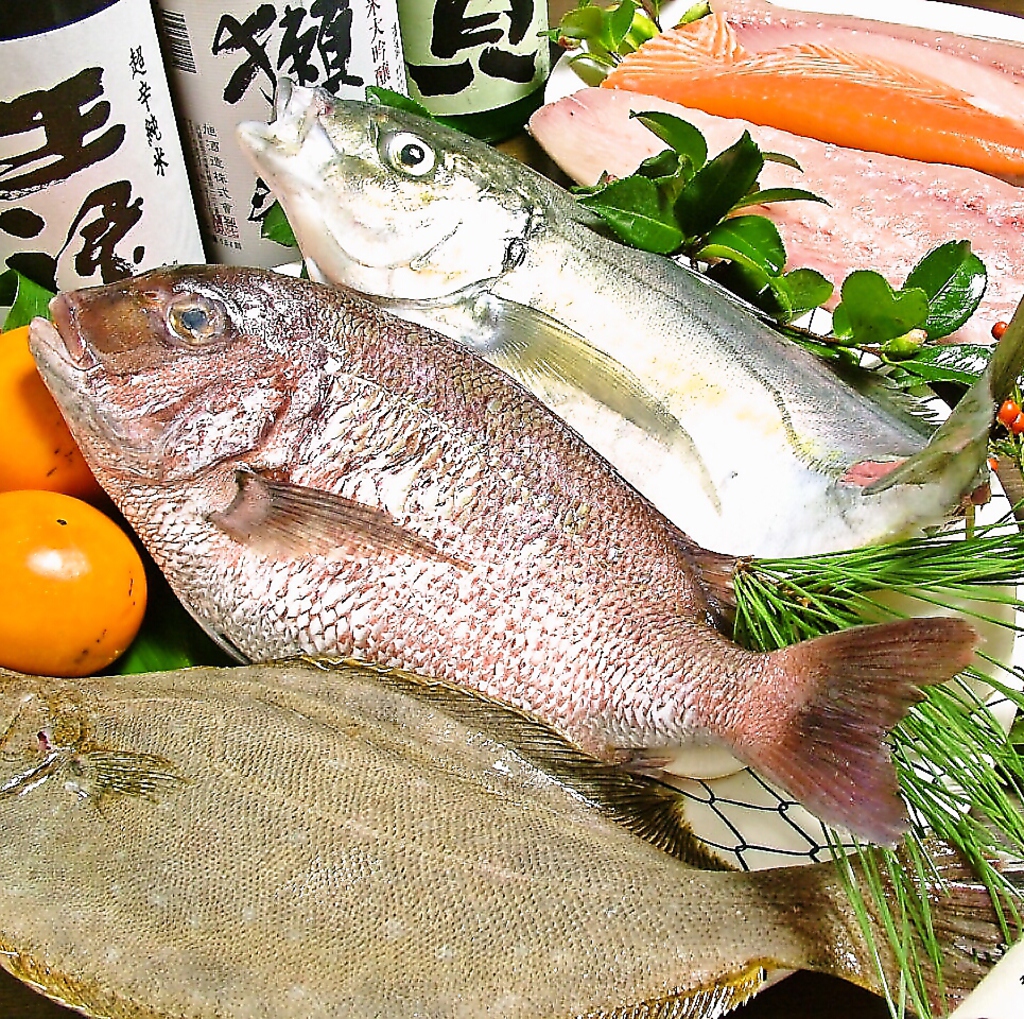 焼酎・地酒によく合う新鮮な旬のお魚が自慢！その日仕入れた鮮魚を生簀から取り出しご提供します。