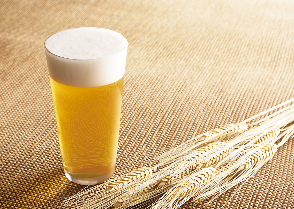 生ビールやワインもご用意★
