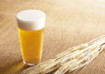 生ビールやワインもご用意★