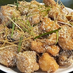 揚物各種