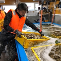 漁師直送牡蠣290円！