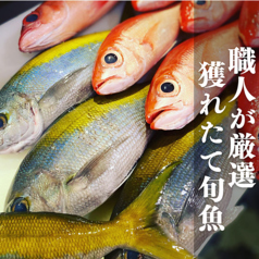 駿河湾 沼津 海いちのおすすめ料理2