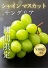 カシバルのおすすめポイント2