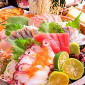 魚吟酒場の写真