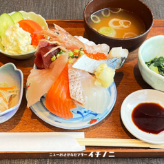 厳選10種の三陸海鮮丼