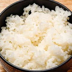 白ごはん