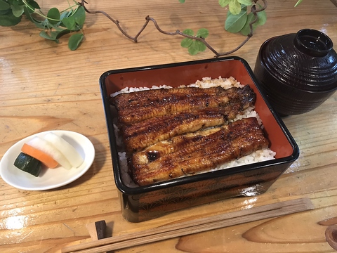 うおはる 東神奈川 和食 ホットペッパーグルメ
