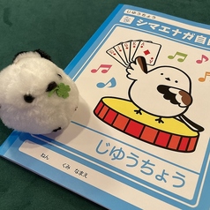 多数のマジックグッズを販売中★初心者向けグッズも◎
