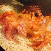 いけすから出したばかりの新鮮魚介を提供いたします！