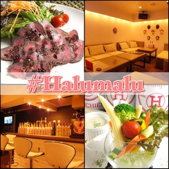 #Halumalu はるまるの写真