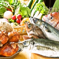厳選された鮮魚や旬の食材をふんだんに使った料理の数々