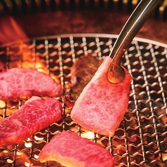 焼肉五苑 湯里店のコース写真