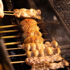 第八飯場丸 錦の特集写真