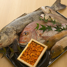 懇意にしている淡路島の漁師友達が獲れたて鮮魚を直送