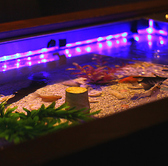 Aquarium&bar Ray 藤沢店のおすすめ料理2