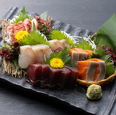 本マグロ入り 刺身5点盛り合わせ (3貫盛り)