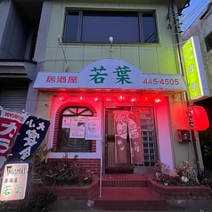 若葉の写真