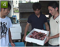 4)真中がいつもお世話になっている大将の幼馴染の漁師さん。