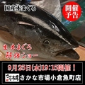 さかな市場 小倉魚町店のおすすめ料理1