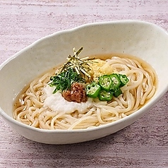 さっぱり 梅かつおうどん