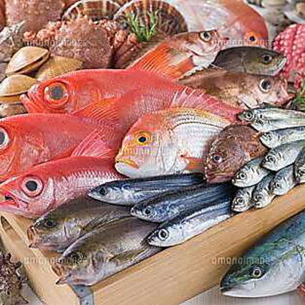 居酒屋ホタル 名駅西店の写真ギャラリー