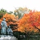 当店は坂本龍馬・中岡慎太郎の銅像の東側に位置しています。銅像と背景の紅葉が見事な眺めです。