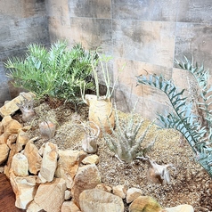 ハンバーグ&プランツ グリーンフックの雰囲気2