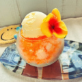 料理メニュー写真&nbsp;オレンジ