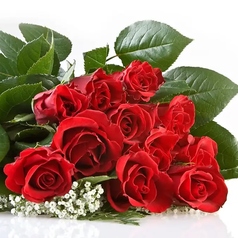 くいもの屋 わん 鎌倉小町通り店のコース写真