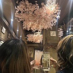 北の家族 なんば千日前店のコース写真