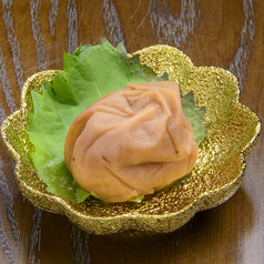 紀州酎杯梅　一ケ