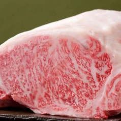 若葉亭 名古屋駅前店特集写真1