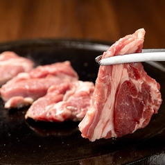 溶岩焼ジンギスカン たまりのコース写真