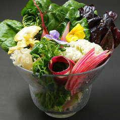 季節の野菜盛り合わせ