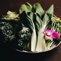 料理メニュー写真&nbsp;おすすめ葉野菜盛り合わせ