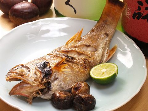 旬菜 いそ崎 創作料理 のメニュー ホットペッパーグルメ