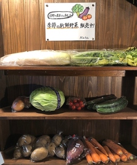 農家直送日野野菜