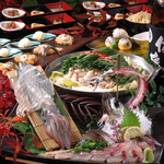 もつ鍋 居酒屋 博多駅 博多 飲み放題 鍋 魚 送別会 歓迎会 馬刺し 呼子イカ 五島サバ