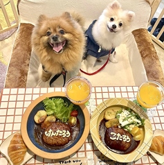 SNS映えするおしゃれな盛り付けを追求