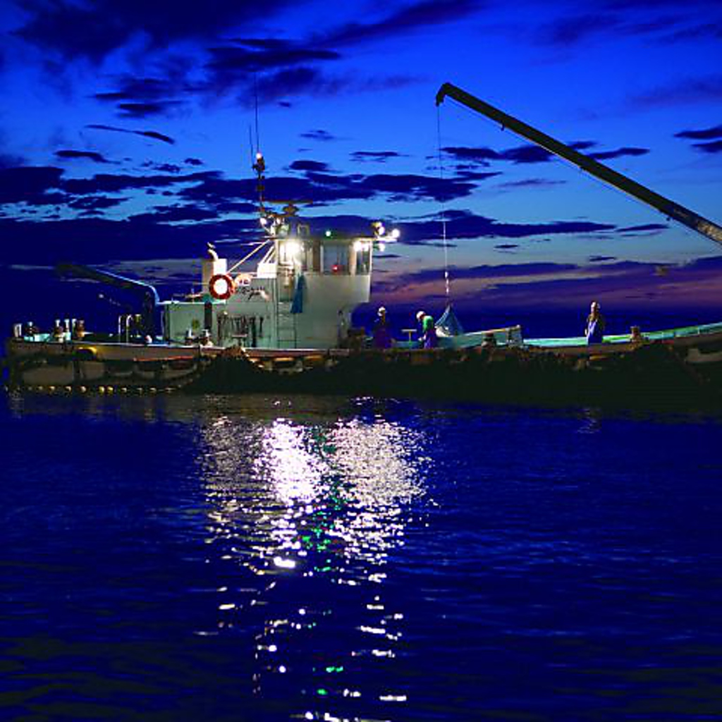 愛媛県の八幡浜より鮮魚をお届け！