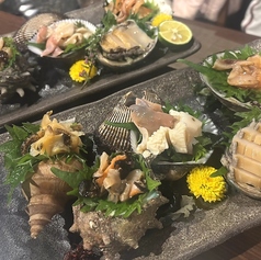 活貝お造り盛り合わせ