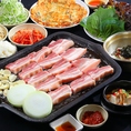自慢のサムギョプサル食べ放題をはじめ、各種韓国料理をお得に楽しめる食べ放題コースをご用意しております。大勢でのお食事や、たくさん食べたい時に最適です。お好きなものを心ゆくまでお召し上がりください。