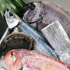 ふくとくの魚