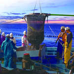 活きのいい魚と粋な漁師さん達♪