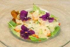 鮮魚のカルパッチョ