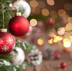 昼からワイン食堂のコース写真