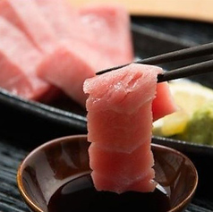 本マグロ　中トロ