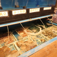 鮮度抜群の新鮮魚介をお届けします！